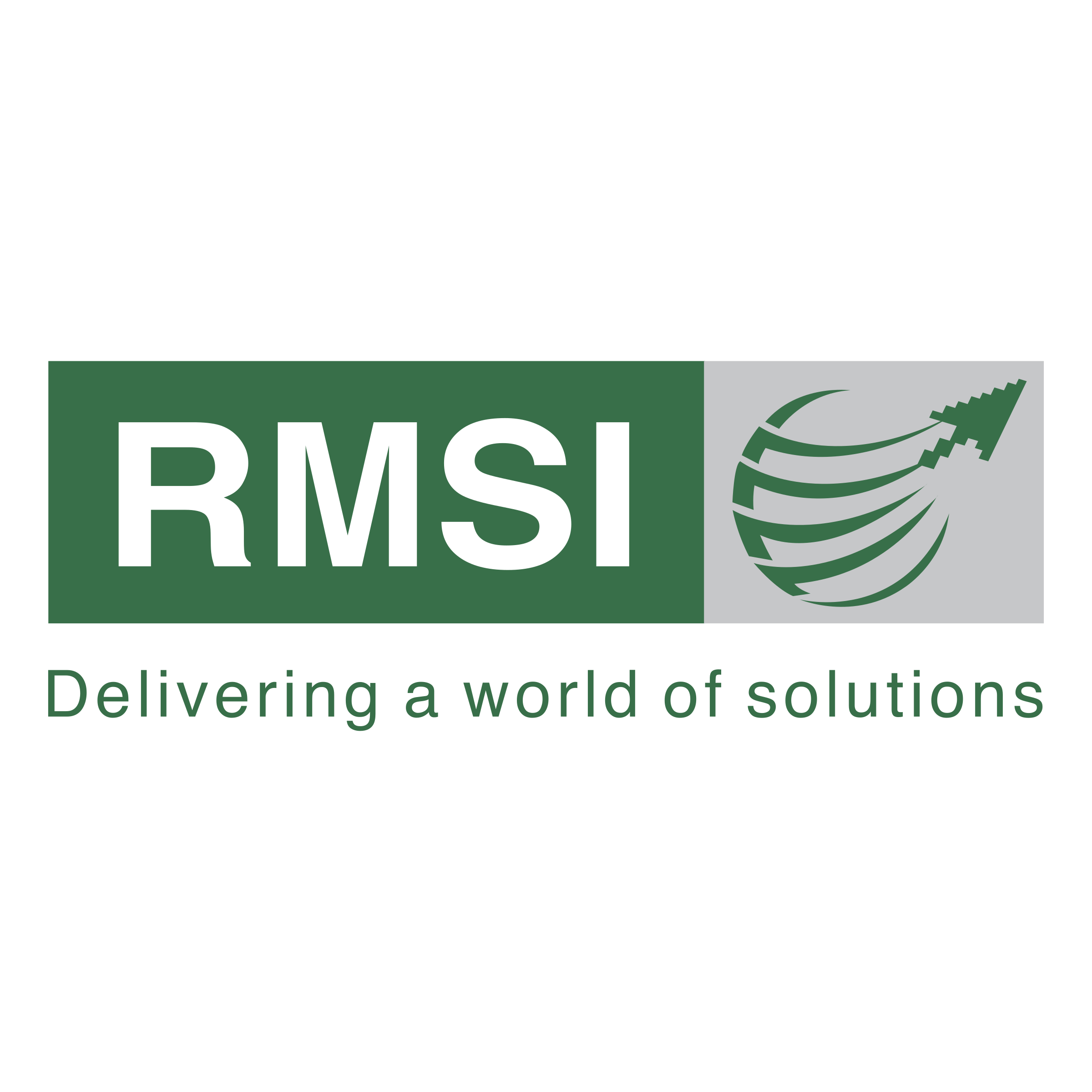 Brand Logo of RMSI